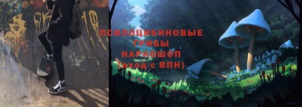 а пвп мука Вяземский