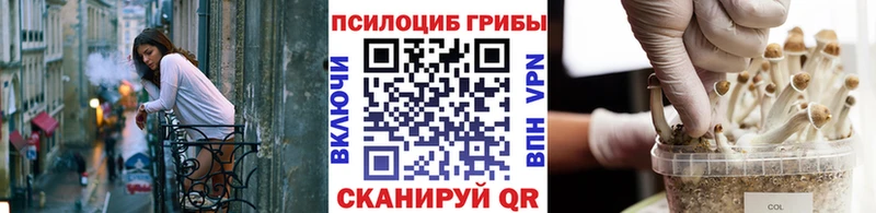 Галлюциногенные грибы мицелий  Йошкар-Ола 
